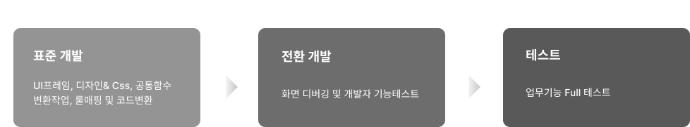 개발 및 테스트 단계: 표준 개발, 전환 개발, 테스트